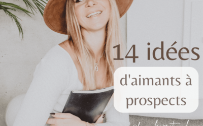 14 idées d’aimants à prospects