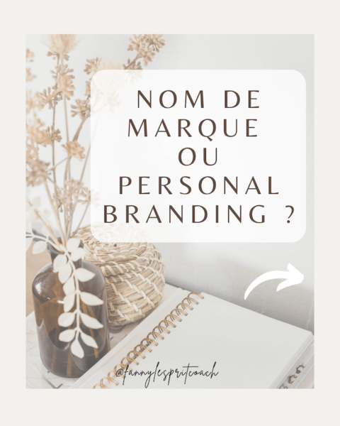 Choisir Un Nom De Marque Ou Personal Branding - Fanny Lesprit